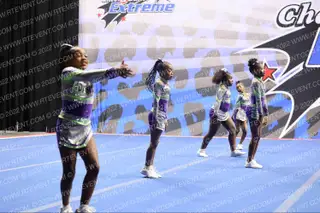 Dynamic All Stars Purple Rage