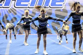 Panthers Tiny Paws
