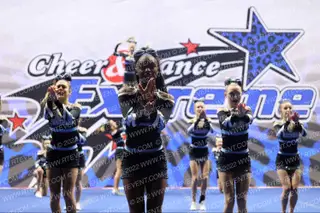 Panthers Untamed
