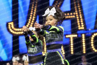 ROYAL STORM ELITE  LIGHTNING