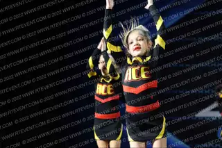 ACE of Huntsville Angry Birds