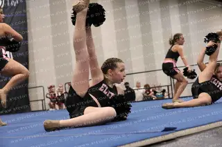 OC ELITE POMMIES