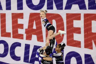 Florida Top Dog Sapphire