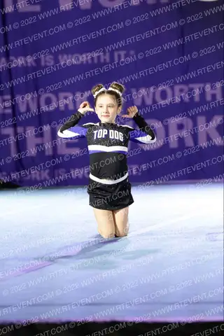 Florida Top Dog Mini Gold