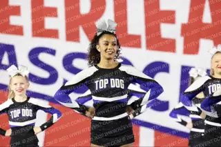 Florida Top Dog Jade