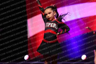 Stars Vipers San Antonio Fab Fangs