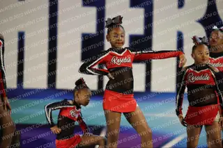 RTC Roar