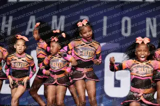 B-Elite Allstars Bossy Bees