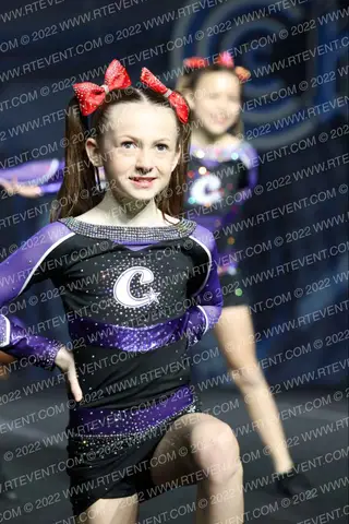 Charlotte Allstars Sunflower