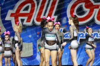 Kentucky Gem Cats Pink Ice
