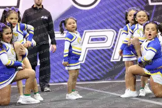 LINCOLN RAMS SPARKLE