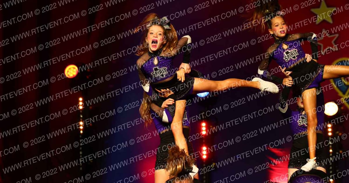 Spirit of Texas Purple Stars · The American Legacy Fort Worth
