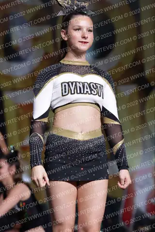 Dynasty Allstars Night Fury