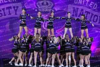 Carnegie Aviators Purple