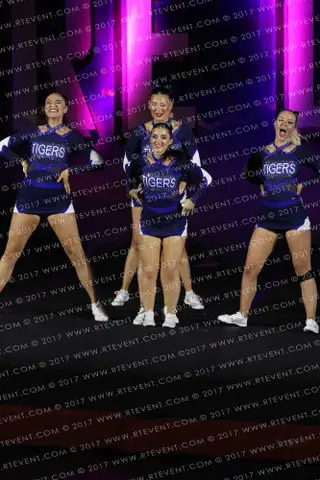 Uclan Tigers Indigo