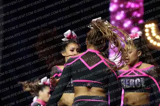 FIERCE WILD CATS NA