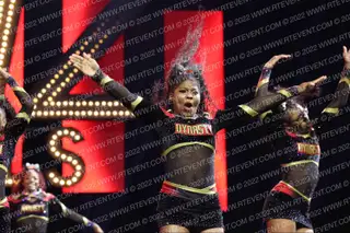 DYNASTY SPIRIT ELITE QUEEN BEES