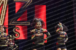 DYNASTY SPIRIT ELITE QUEEN BEES