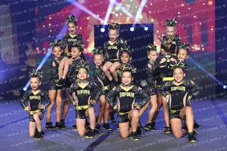 Top Gun All Stars (Top Gun) Pellets