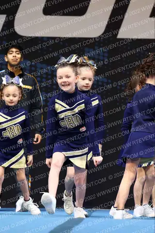 FARMINGDALE HOWELL LIONS TM