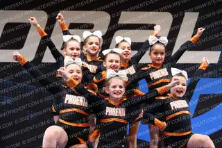 PHOENIX FIREBIRDS