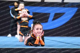 PHOENIX FIREBIRDS