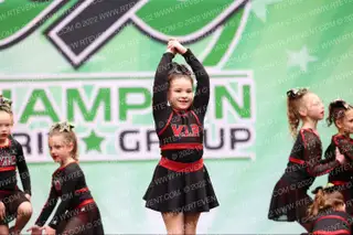 VIP Cheer Tiny Tycoon$