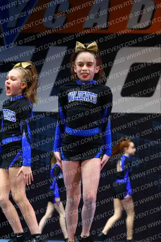 LONDONDERRY WILDCATS
