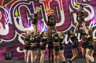 Giants Elite Sapphire