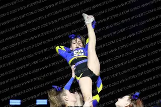 Spirit Central Gold Tigers
