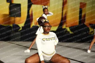 onyx cheer force Ice Breeze
