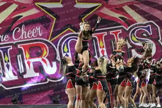 Staffordshire Scarlettes Synergy
