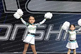 MAYANS MINIS