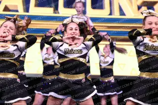 Flemington Falcons Jr Varsity