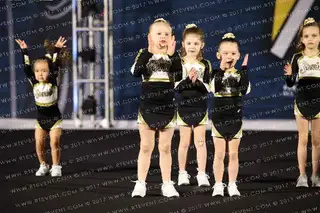 Sonic Elite All Stars GOLDEN NUGGETS