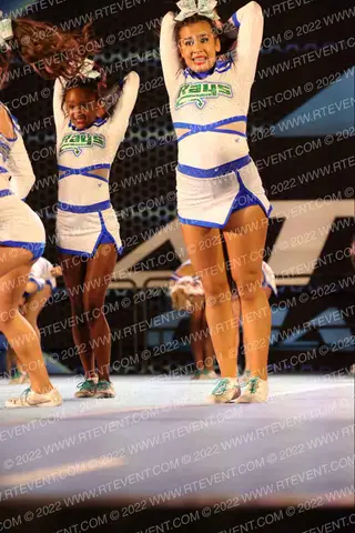 The Stingray Allstars