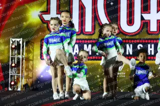 Kentucky Pride All-Stars Kittens