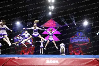 Royalty Sports Company Purple Domination