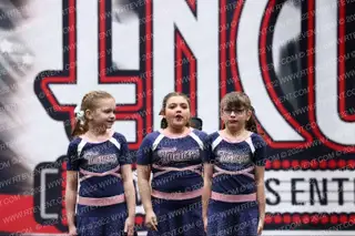 Turners All Stars Pink Ladies