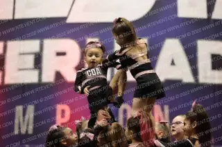 Tiny Obsession CDA XTREME