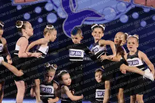 Florida Top Dog All Stars Tiny Topaz