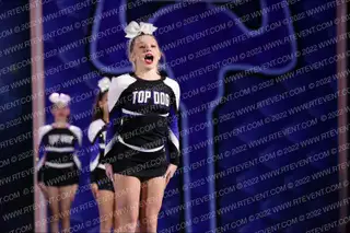 Florida Top Dog Diamonds