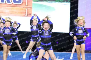 Island Allstars Royalty