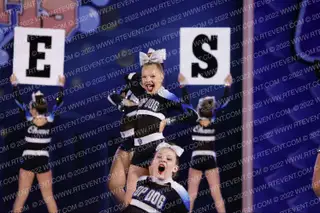 Florida Top Dog Aces