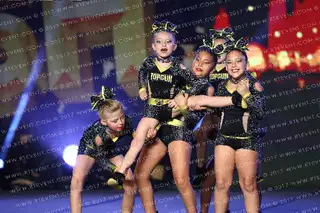 Top Gun All Stars (Top Gun) Pellets