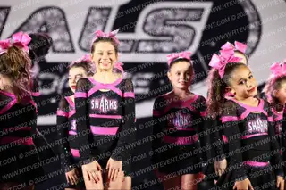 Savannah Sharks Mini Makos