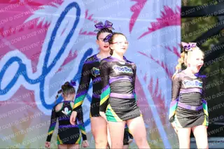 Louisiana VooDoo Allstars Krewe of Purple
