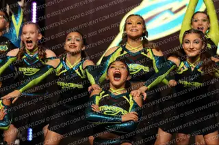 Express Stingers Scorpions