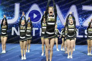 HIVE GOLDEN GIRLS