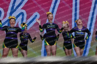 Louisiana VooDoo Allstars Krewe of Gold
